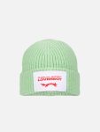 CHUNKY RIB BEANIE in LIGHT GREEN