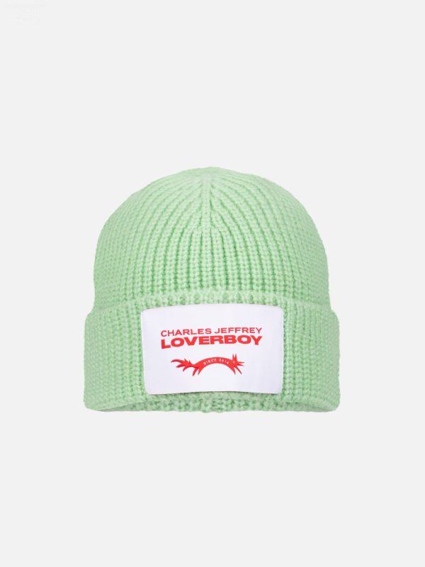 CHUNKY RIB BEANIE in LIGHT GREEN