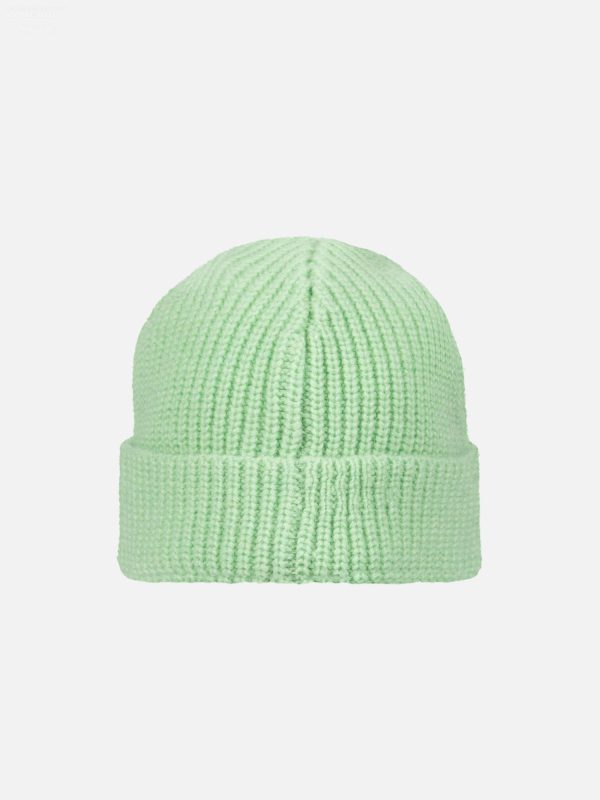 CHUNKY RIB BEANIE in LIGHT GREEN